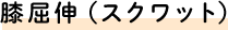 膝屈伸（スクワット）