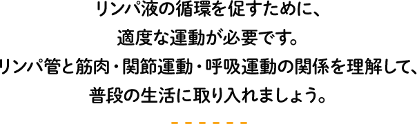 リンパ液の循環を促すために、適度な運動が必要です。
リンパ管と筋肉・関節運動・呼吸運動の関係を理解して、普段の生活に取り入れましょう。
