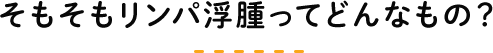 そもそもリンパ浮腫ってどんなもの？